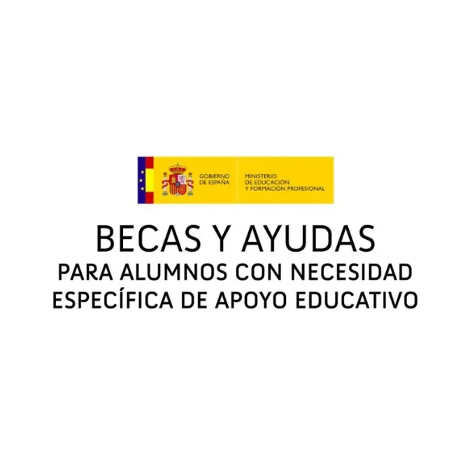 Becas y ayudas para estudiantes con necesidades educativas Promoción becas y ayudas para estudiantes con necesidades educativas.